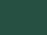 Evergreen Color Chip